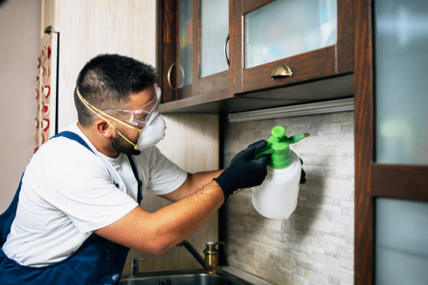 Professional Pest Control in Wixom, MI