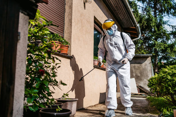 Best Best Pest Control Companies  in Wixom, MI