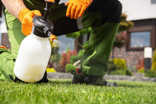 Best Best Pest Control Companies  in Wixom, MI