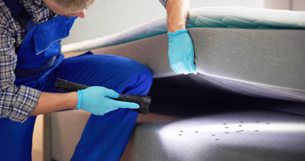 Best Rat Extermination Near Me  in Wixom, MI
