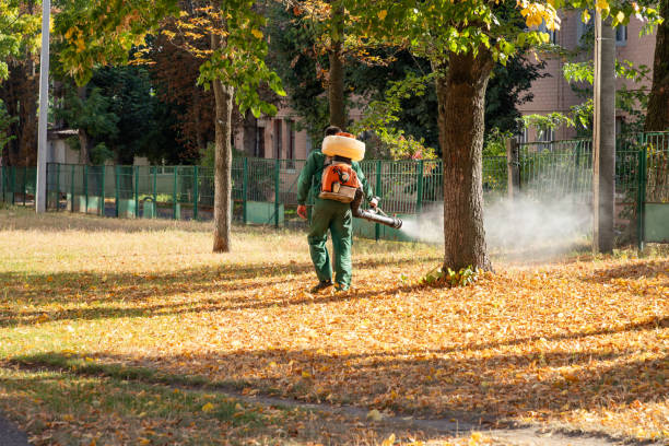 Best Bird Control  in Wixom, MI